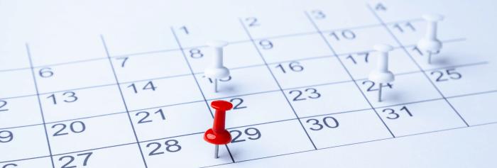 Ein Kalenderblatt mit Stecknadeln